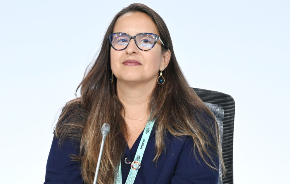 Rayne Ferretti: Şəhərlərin planlaşdırılması zamanı təbiət amilinin nəzərə alınması dayanıqlı inkişaf üçün əsas şərtlərdəndir VİDEO