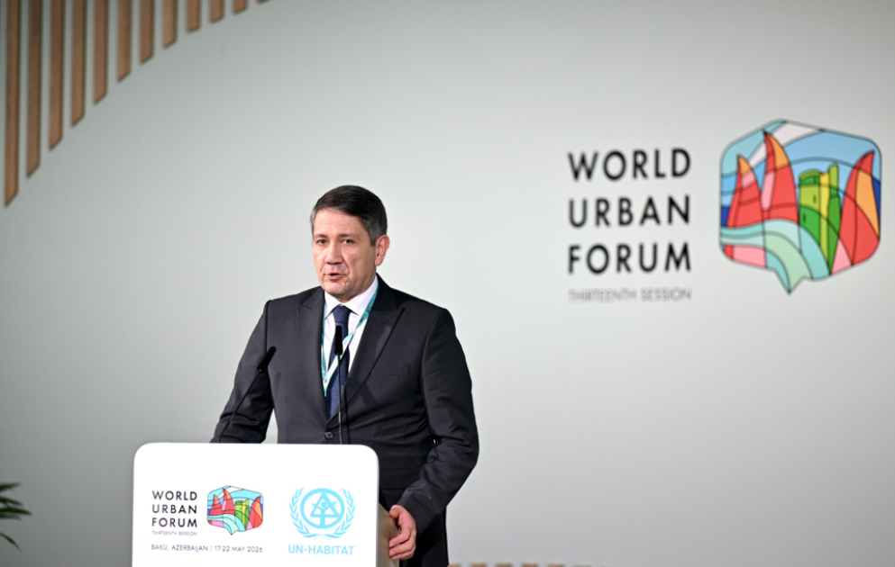 New approaches to housing finance and inclusive solutions discussed at WUF13 VIDEO