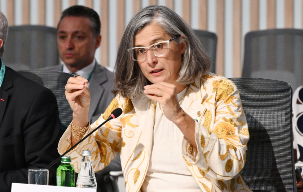 Anaclaudia Rossbach : Le renforcement de la coopération politico-technique est essentiel pour résoudre la crise mondiale du logement VIDEO