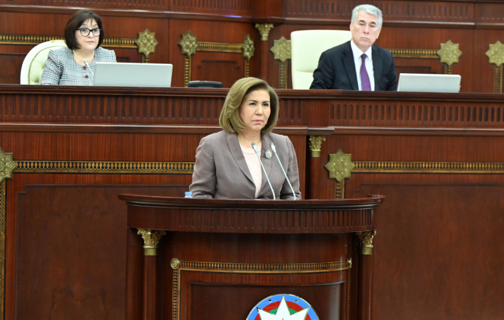 Bahar Muradova: Genderəsaslı risklərin azaldılmasında preventiv mexanizmlər səmərəli nəticə verir VİDEO