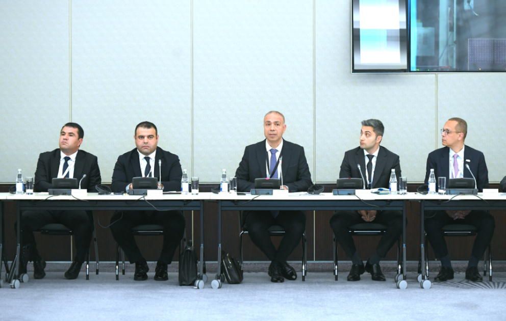 Elnur Soltanov: Enerji səmərəliliyinin artırılması üçün maliyyə mexanizmlərinin formalaşdırılması vacibdir VİDEO