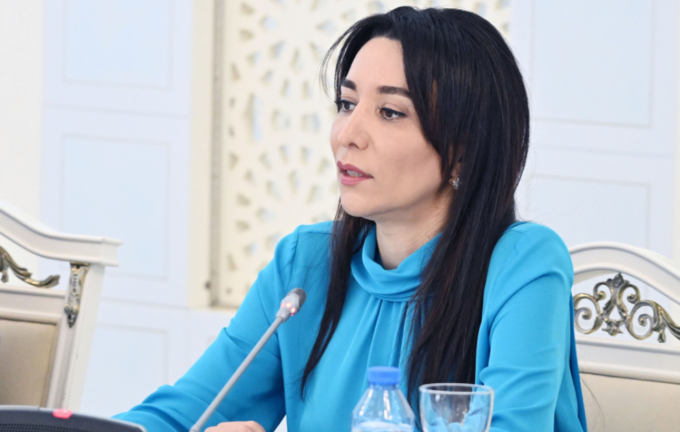 Ombudsman: Uşaqların rəqəmsal təhlükəsizliyi üçün nəzarət mexanizmləri gücləndirilməlidir VİDEO