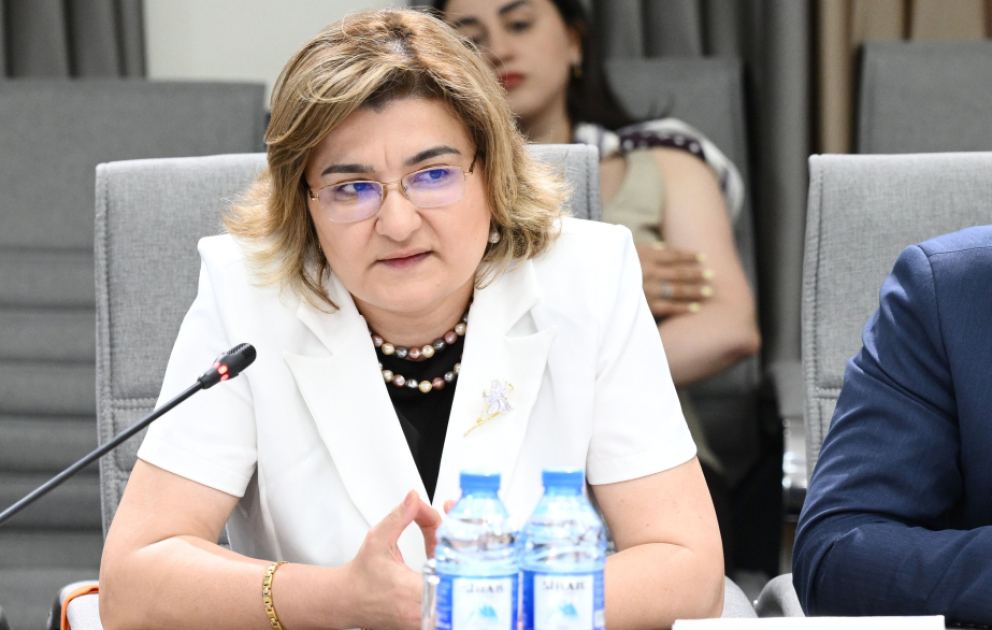 Bəzi sosial şəbəkələrdə uşaqların intihara, terrorizmə, kiberbullinqə məruz qalma ehtimalı daha çoxdur VİDEO