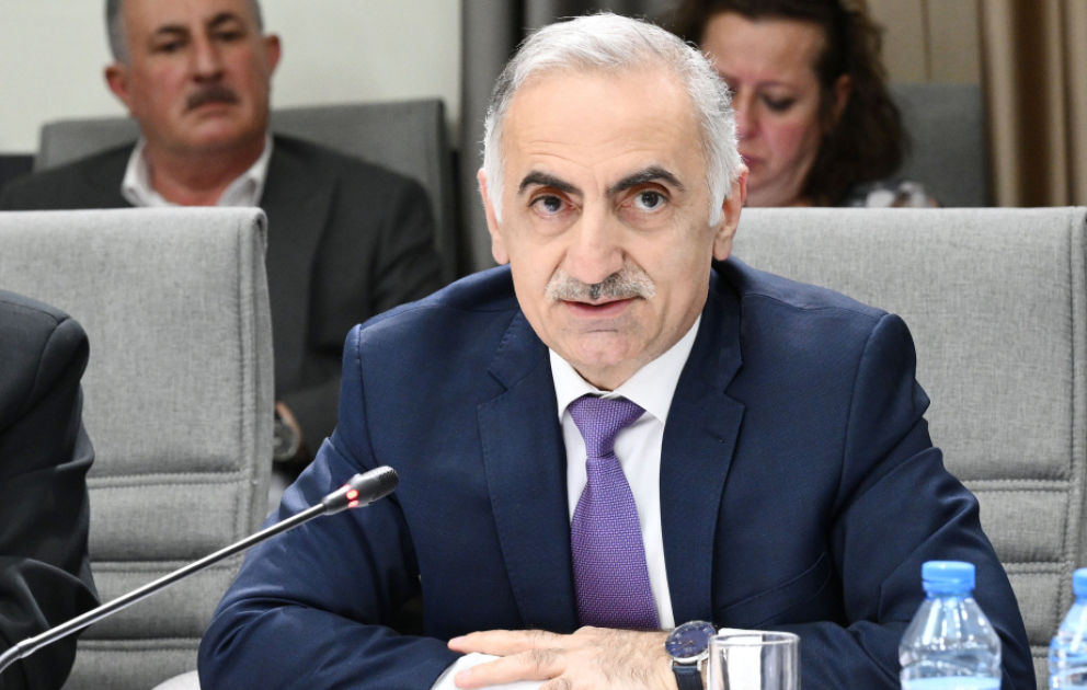Elmir Vəlizadə: Qanun layihəsinin əsas mahiyyəti uşaqların sosial şəbəkələrin zərərli təsirlərindən qorunmasıdır
