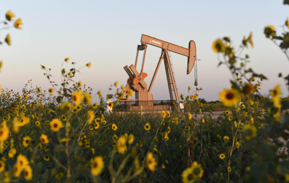 Oil prices rise in world markets VIDEO