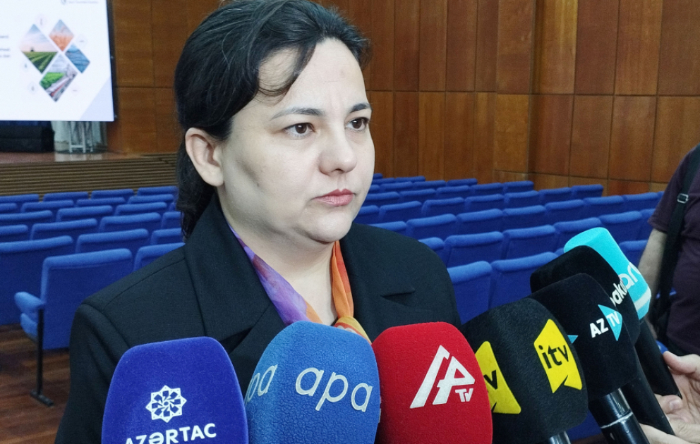 İlhamə Qədimova: Dövlət proqramı 2030-cu ilə qədər olan dövrü əhatə etsə də, sonrakı mərhələlərdə də davam etdiriləcək VİDEO