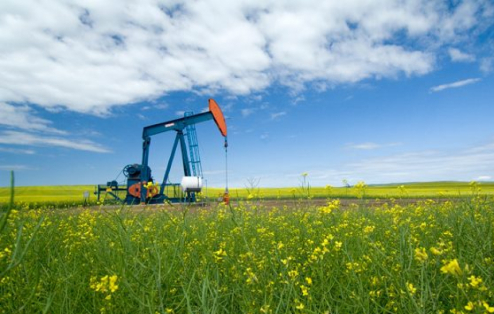 На мировых биржах цены на нефть упали ВИДЕО