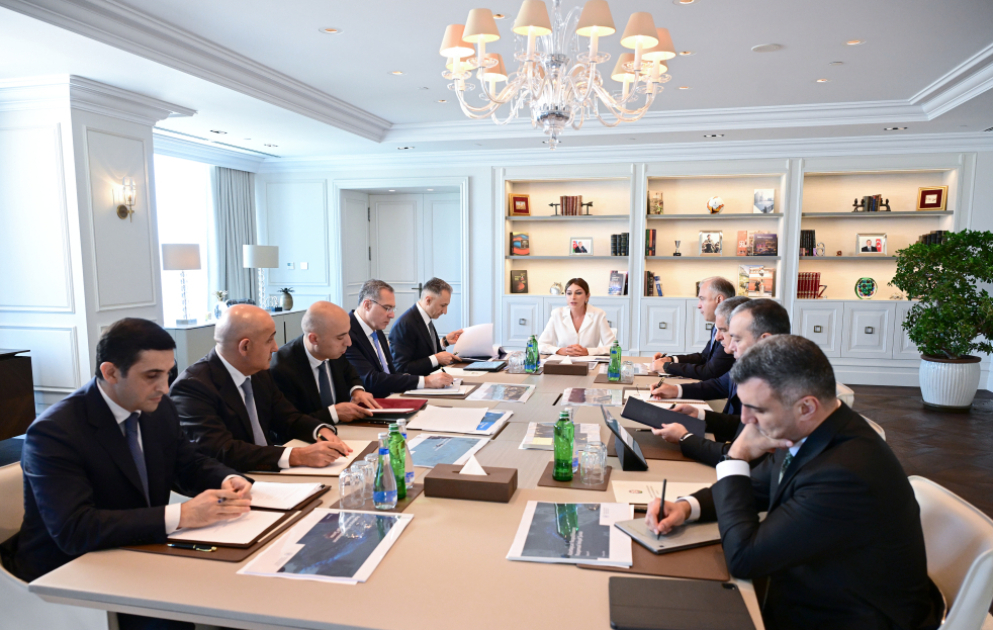 First meeting of Digital Development Council held under chairmanship of First Vice-President Mehriban Aliyeva VIDEO