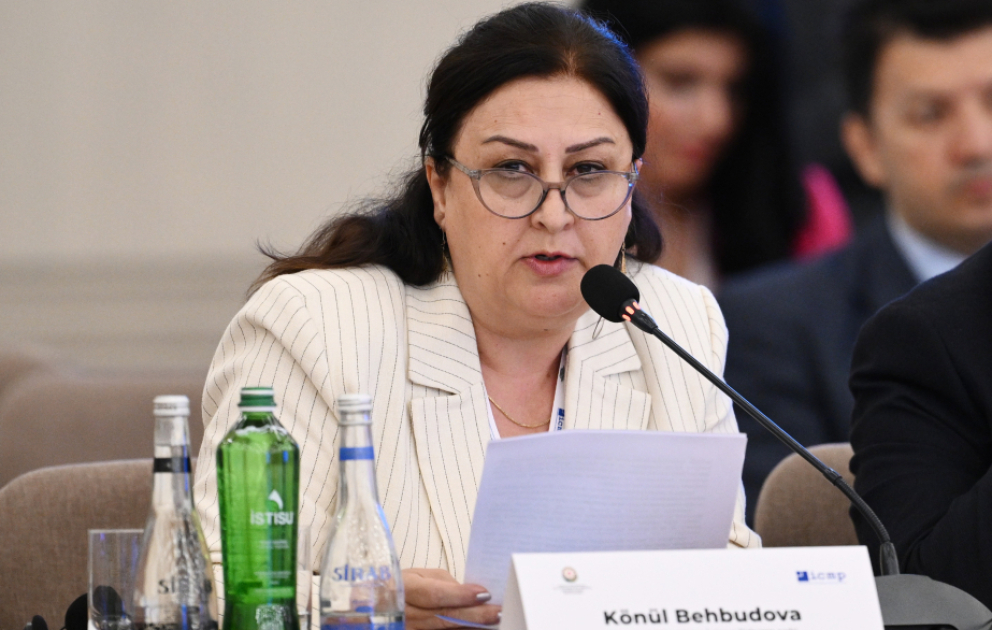 İctimai Birlik sədri: ICMP-nin təşəbbüsləri və Dövlət Komissiyası ilə əməkdaşlığı itkin ailələrinin ümidlərini artırır VİDEO
