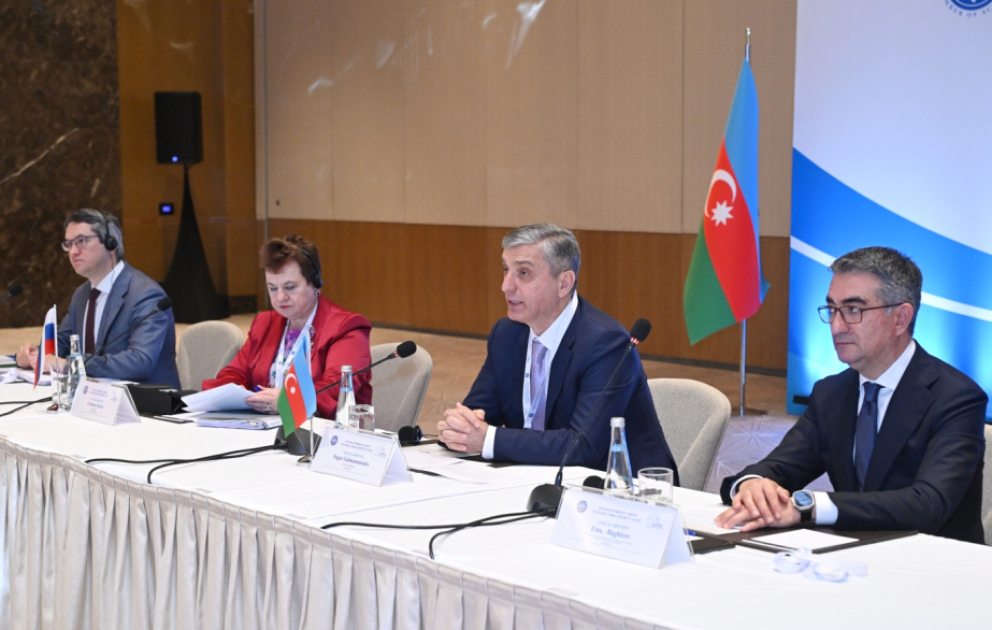Vüqar Gülməmmədov: Dövlət satınalmalarının effektiv auditi iqtisadi artım və ictimai etimadın əsas təminatlarından biridir VİDEO