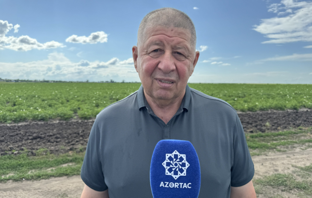 Şamaxıdan Kostanaya: azərbaycanlı aqronomun uğur formulu VİDEO