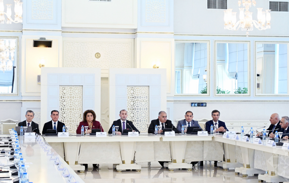 Milli Məclisdə uşaqların sosial şəbəkə platformalarındakı zərərli təsirlərdən qorunmasına dair ictimai müzakirə olub VİDEO