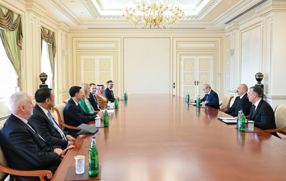 Präsident Ilham Aliyev empfängt hochrangige Vertreter internationaler Organisationen VIDEO