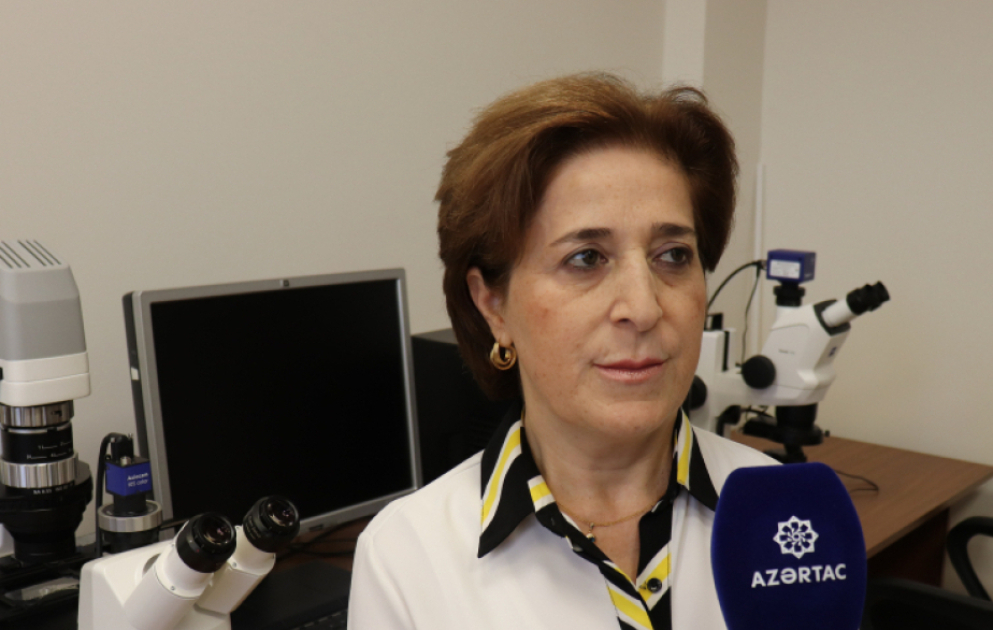 Azərbaycanda göbələklərin elmi tədqiqi: yeni növlər, biotexnoloji imkanlar MÜSAHİBƏ VİDEO