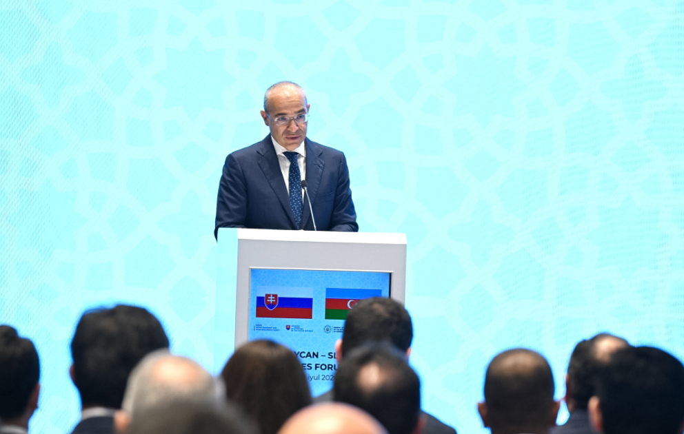 Mikayıl Cabbarov: Gələn ilin ortalarınadək Ələt Azad İqtisadi Zonasının ərazisində müasir beynəlxalq hava limanının istifadəyə verilməsi gözlənilir VİDEO