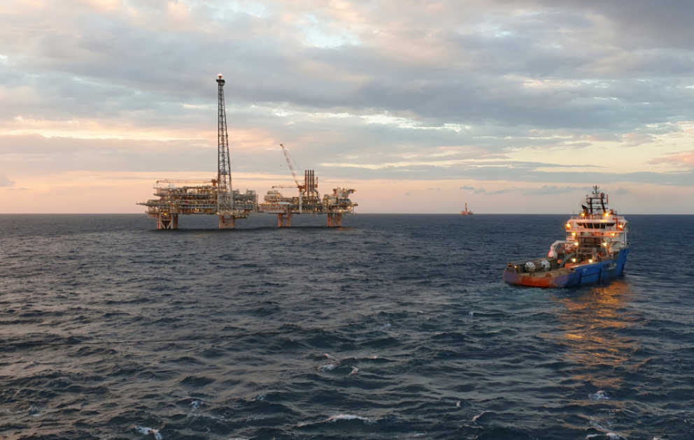 Preis von Azeri Light kostet fast 99 US-Dollar VİDEO