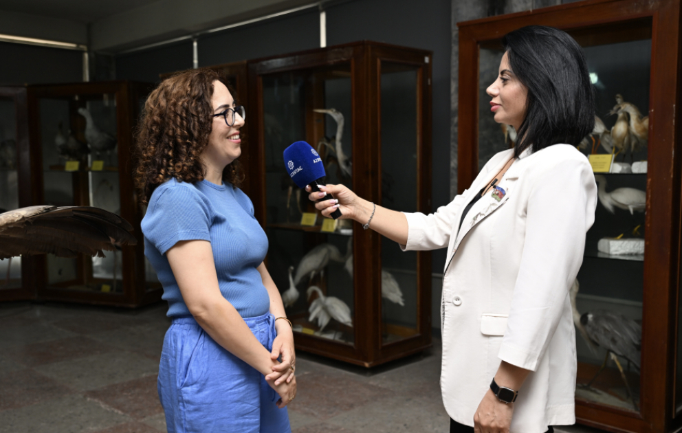 Zooloji Muzeyin müdiri: Kolleksiya və ekspozisiya fondlarında 500-dən çox nümunə qorunur MÜSAHİBƏ VİDEO