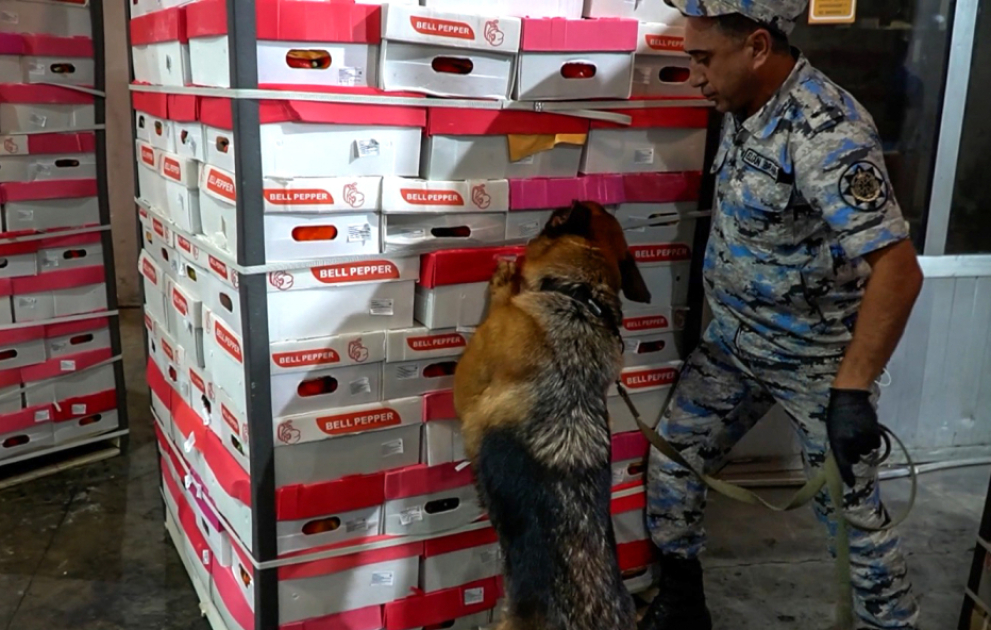 Astara gömrük postunda 25 kiloqramdan çox marixuana aşkar edilib VİDEO
