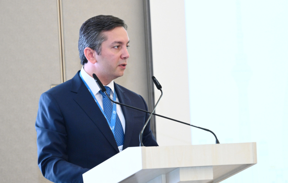 Yalçın Rəfiyev: İqlim prosesi öhdəliklərin razılaşdırılmasından onların icrasına keçməlidir VİDEO