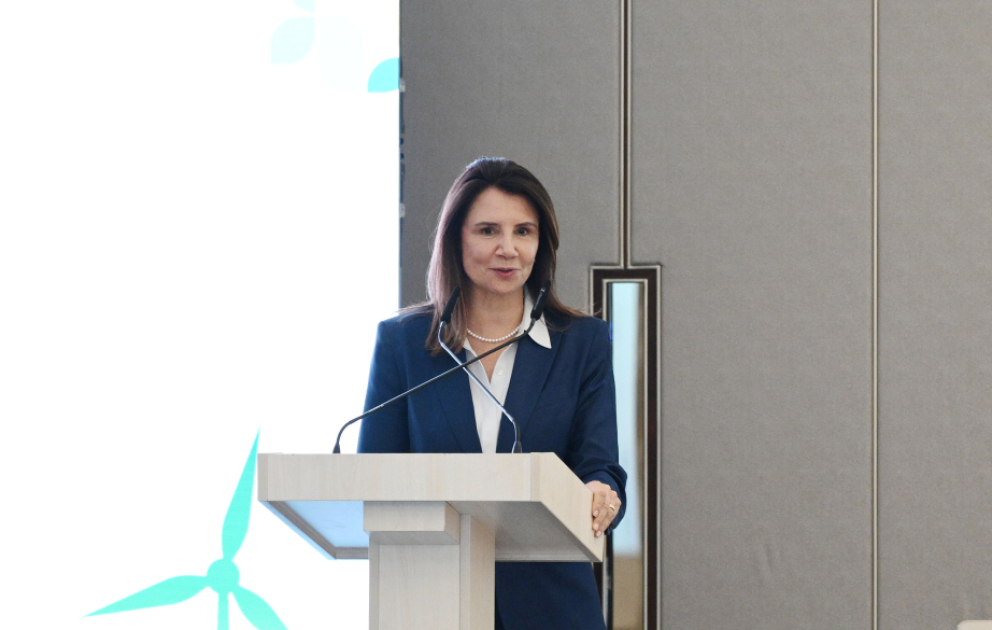 COP30-un icraçı direktoru : İqlim dəyişikliyi ilə mübarizə üçün çoxtərəfliliyi gücləndirməliyik VİDEO