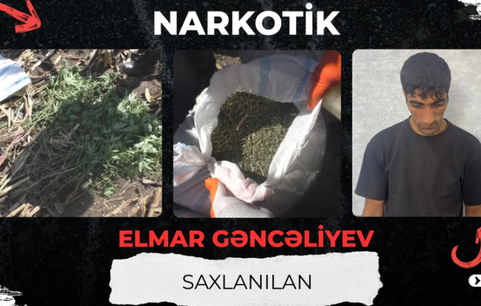Balakəndə külli miqdarda narkotik vasitə aşkarlanıb VİDEO