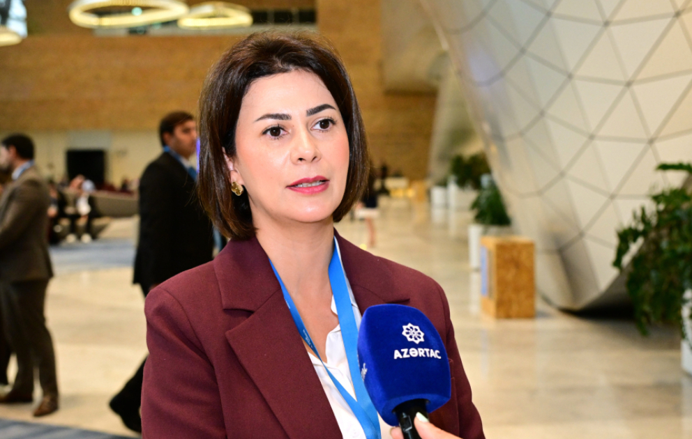 CECECO-nun icraçı direktoru: Bakı İqlim Fəaliyyəti Həftəsi COP29-un nəticələrini irəli aparır VİDEO
