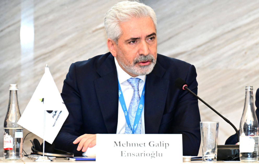 TBMM üzvü: Beynəlxalq səviyyədə qəbul edilən qərarlar milli siyasətə, qanunvericiliyə və investisiyalara çevrilməlidir VİDEO