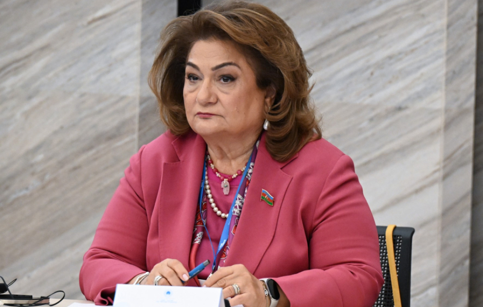 Hicran Hüseynova: "Türk Yaşıl Baxışı" kimi strateji sənədlər iqlim dəyişikliyinin təsirlərinin azaldılmasını prioritetə çevirir VİDEO