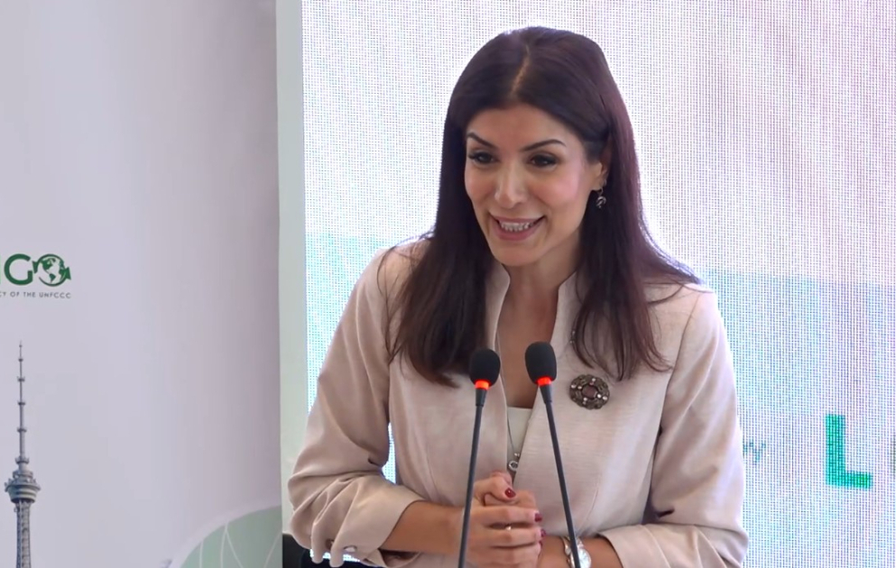 Nigar Arpadarai: Gənclərin iqlim fəaliyyətində rolu mütləqdir VİDEO