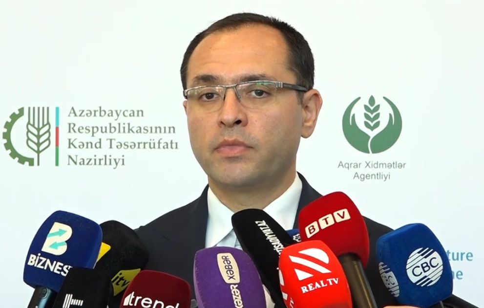 Nazir: Yerli toxumçuluğun inkişaf etdirilməsi və özünütəminat səviyyəsinin yüksəldilməsi əhəmiyyət daşıyır VİDEO