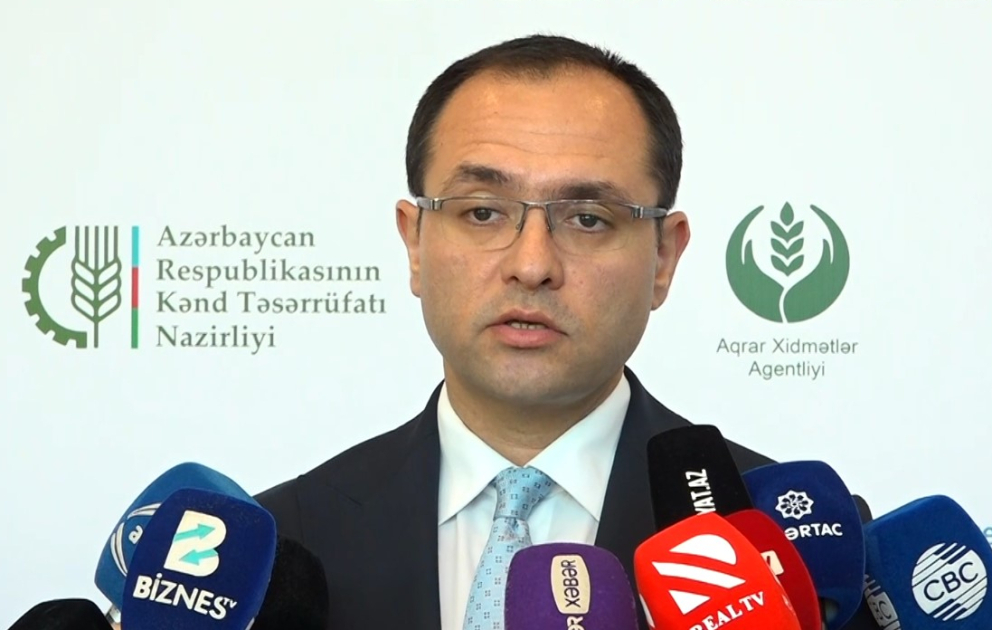 Məcnun Məmmədov: Fermerlərə əkinlə bağlı mərhələli şəkildə tövsiyələrin verilməsi mexanizmi üzərində çalışırıq VİDEO