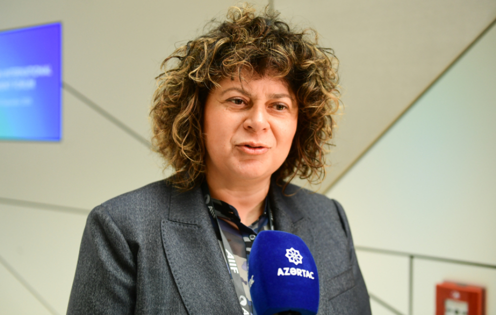 İnvestisiya agentliyinin direktoru: Monteneqro sənaye zonalarının idarəedilməsi üzrə Azərbaycanın təcrübəsini öyrənməkdə maraqlıdır VİDEO
