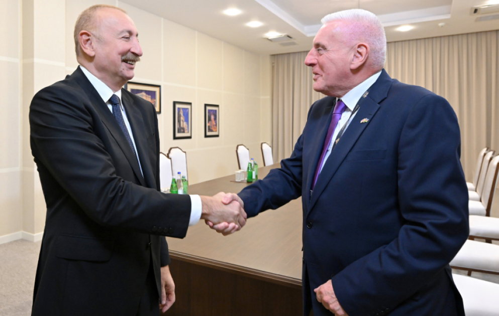President Ilham Aliyev received UK Minister of State for Defence VIDEO