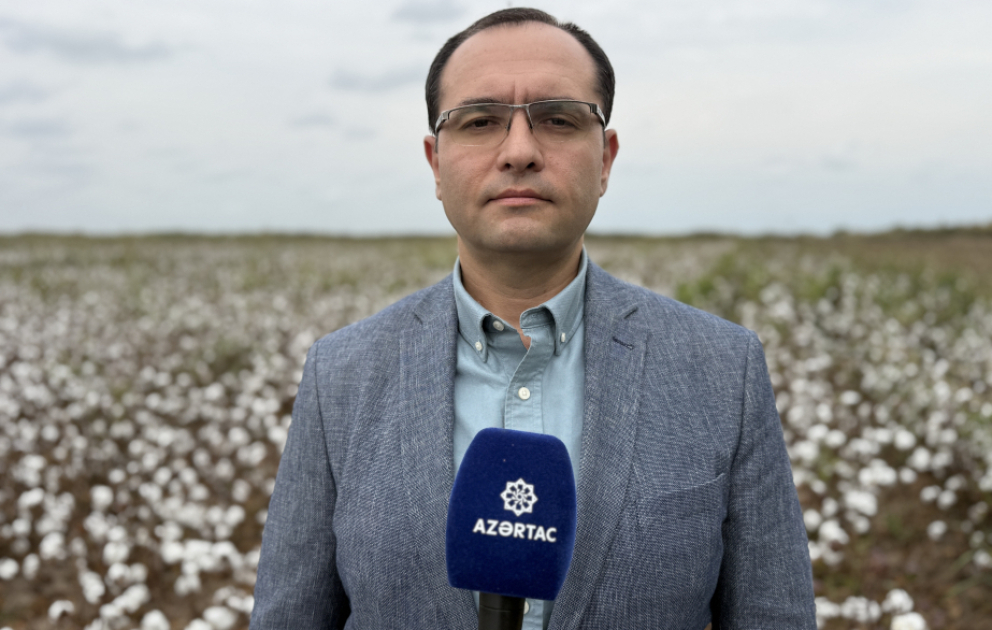Məcnun Məmmədov: Xırdabuynuzlu heyvandarlıqda subsidiyanın əsas məqsədlərindən biri örüş sahələrinin yaxşılaşdırılmasıdır VİDEO