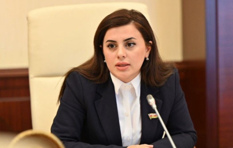 Deputat: Müstəqil siyasət Azərbaycanın beynəlxalq mövqeyini gücləndirir VİDEO
