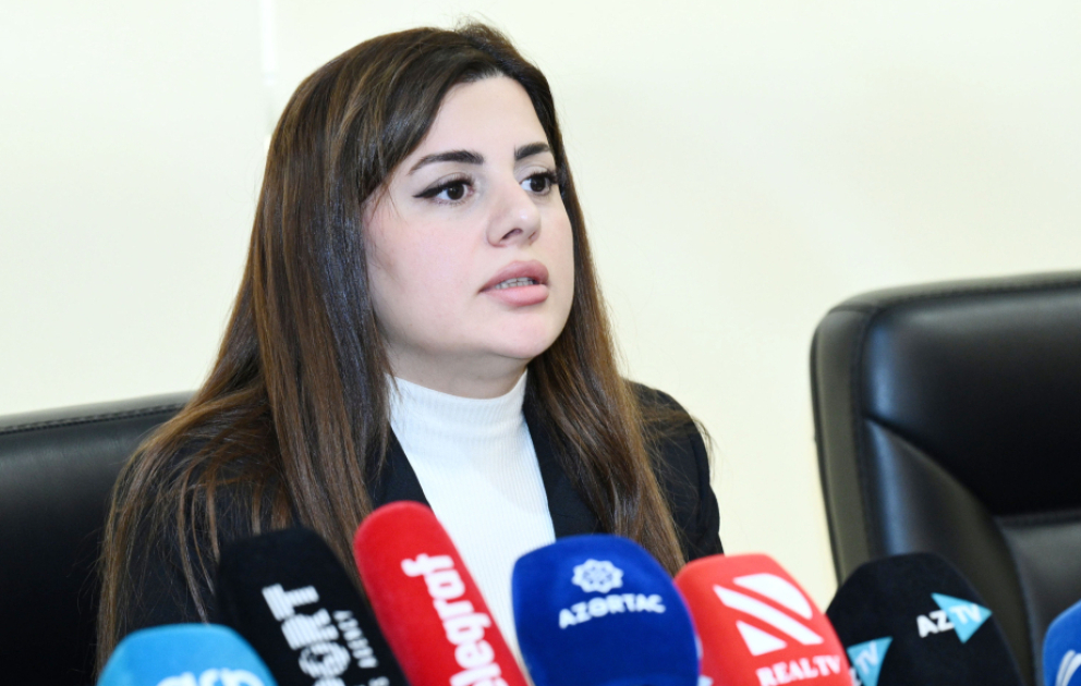 Deputat: Ermənistan işğal dövründə Azərbaycanın 7 filiz və 39 qeyri-filiz yatağında qanunsuz istismar aparıb VİDEO