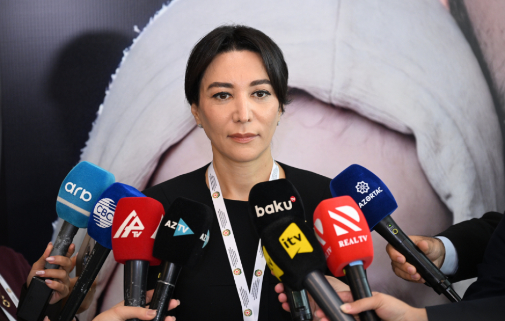 Ombudsman: Bakı Dialoqu formatında IV beynəlxalq konfransda səslənən rəqəmlər böyük ümid yaradır VİDEO
