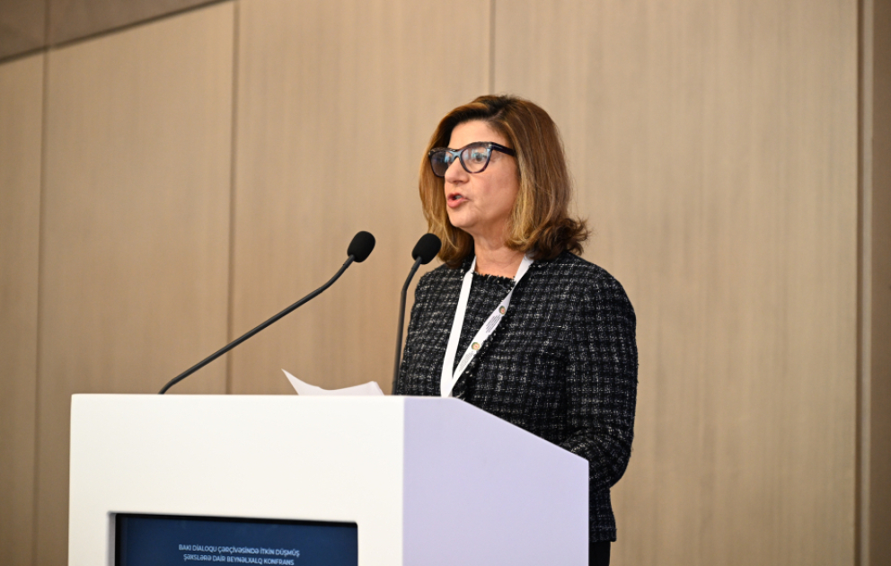 ICMP-nin baş direktoru: Dünyada itkin düşmüş şəxslərin sayı artır VİDEO