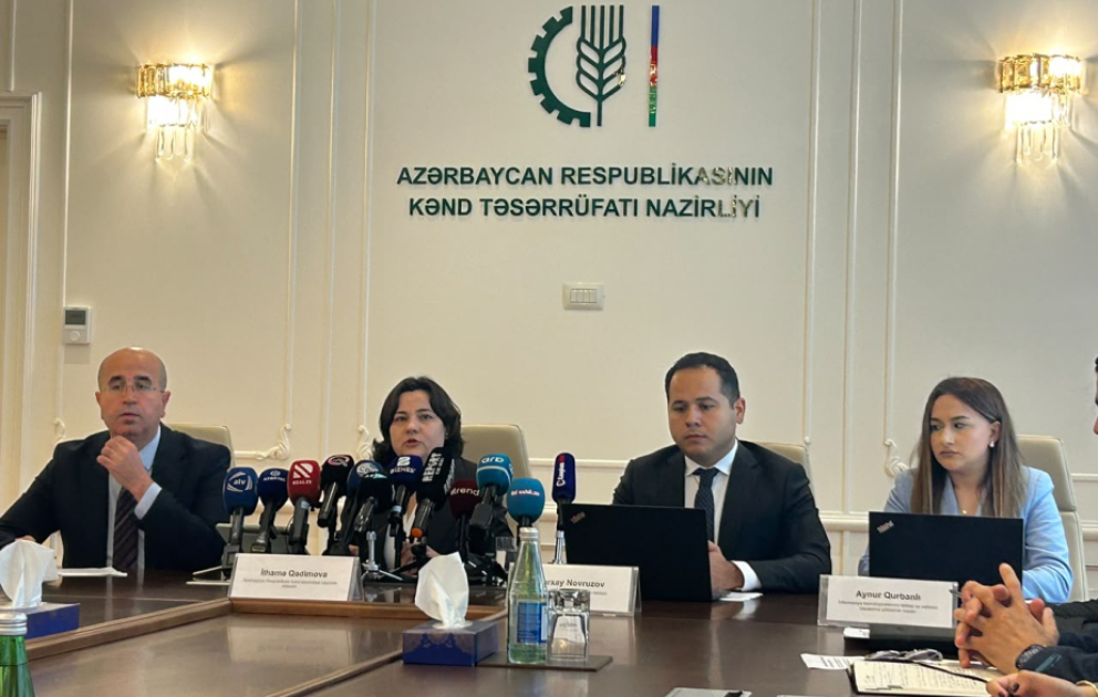 Nazir müavini: Aqrar Süni İntellekt layihəsi çərçivəsində 24 həll üzrə hazırlıq işləri başa çatıb VİDEO
