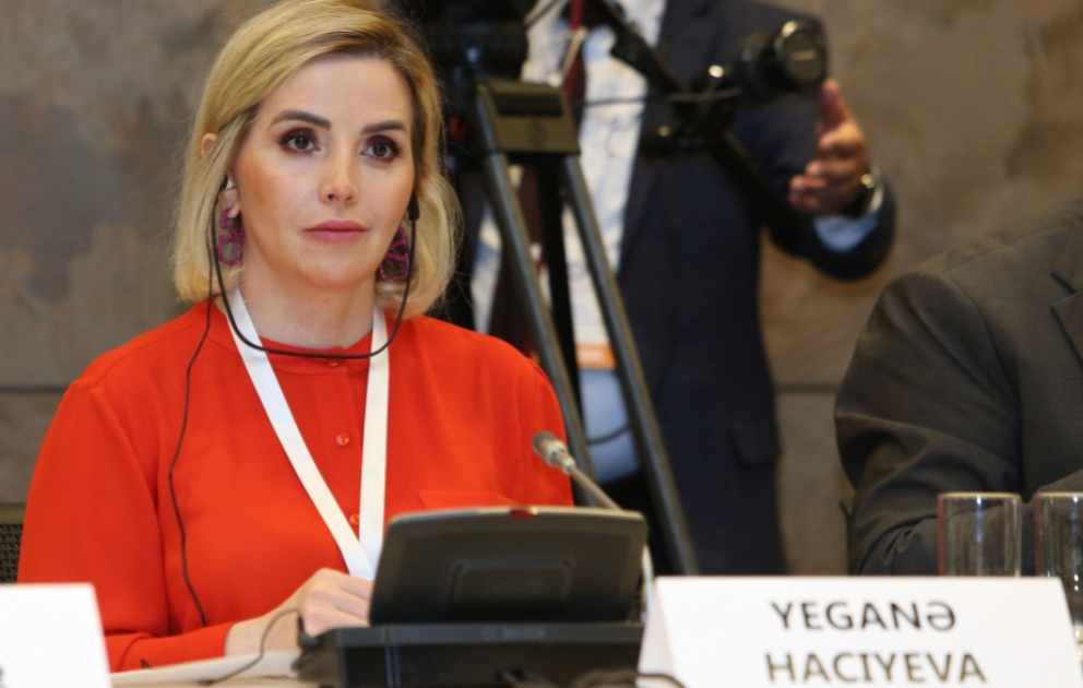 Politoloq: Niderland Avropa İttifaqının Azərbaycanla münasibətlərini inkişaf etdirməsində maraqlıdır VİDEO