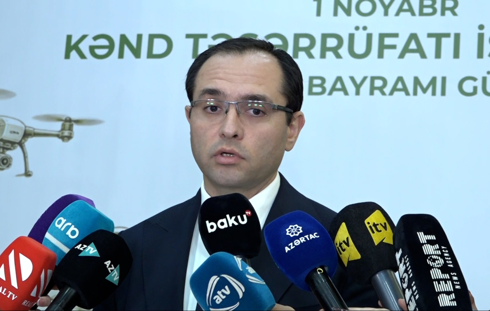 Nazir: Ərzaqlıq buğda istehsalı bir ildə 126 min tondan 170 min tondan çoxa yüksəlib VİDEO