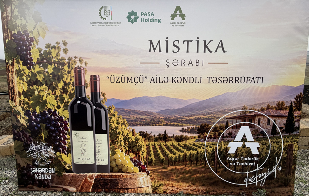 2030-cu ilədək Azərbaycanda butik şərabçılıq müəssisələrinin sayı 4 dəfə artırılacaq VİDEO